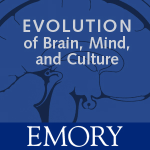 Evolution of Mind, Brain, and Culture